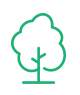 Plantation d'arbres